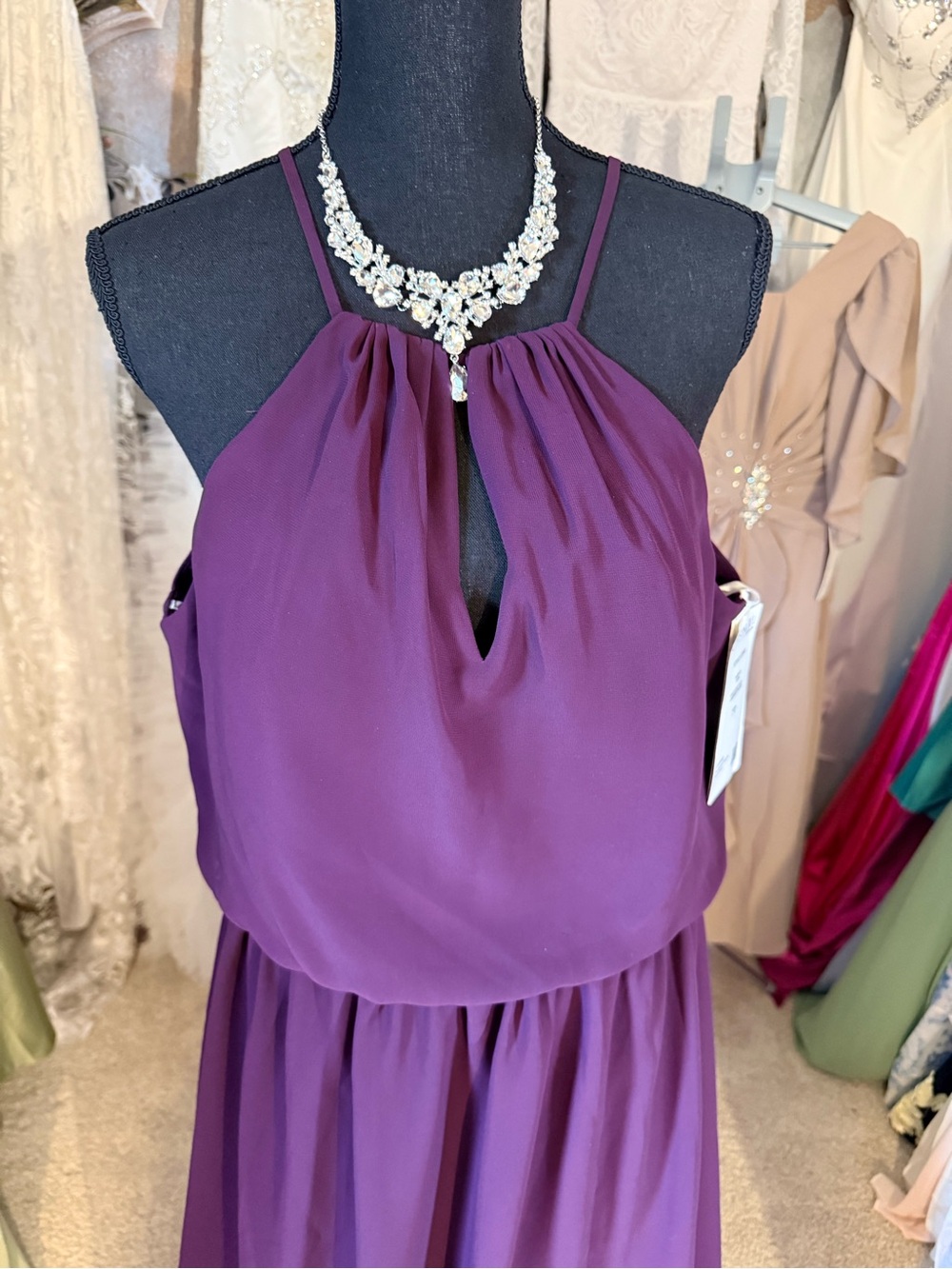 #26 Christina Wu Deep Plum Halter Maxi Dress
